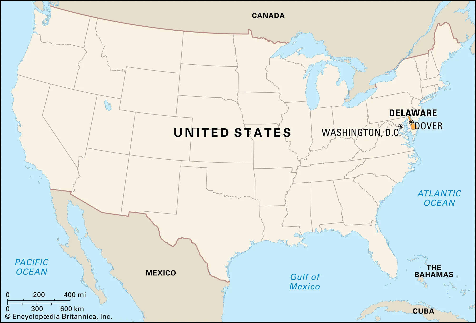 Delaware LLC Business Structure